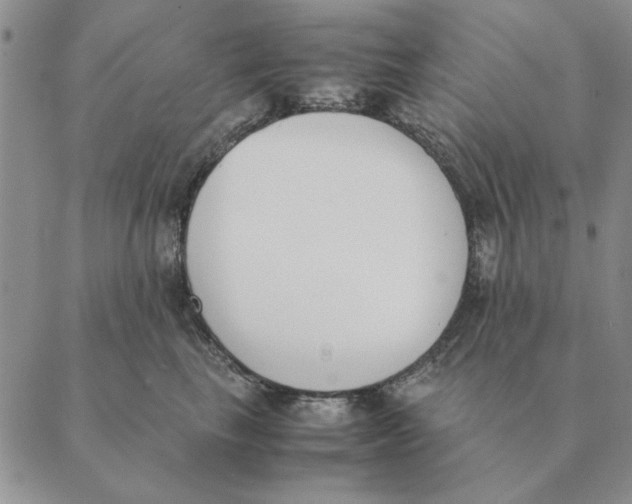 X0000089400665200707061230