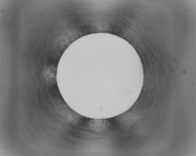X0000089400672200707061230