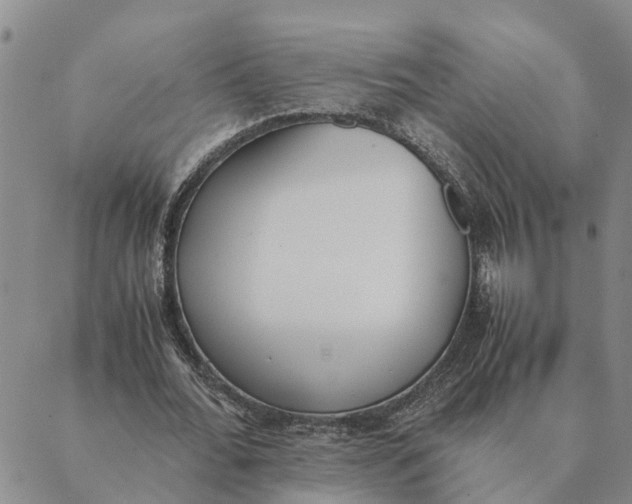 X0000089400676200707061229