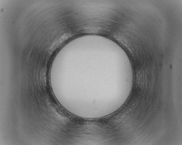 X0000089400682200707061229