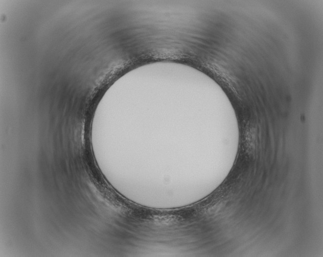 X0000089400686200707061229