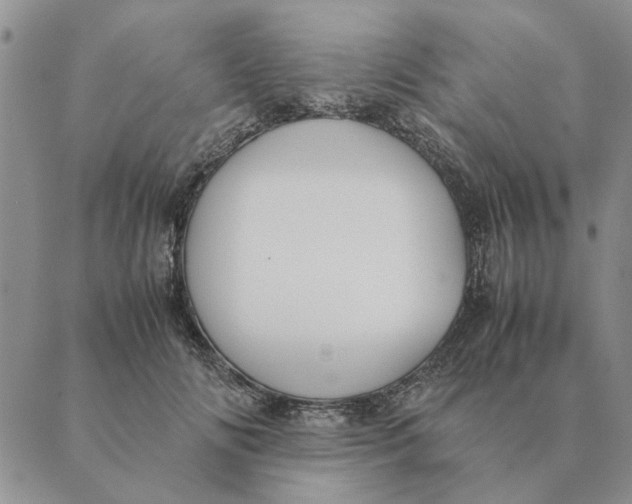 X0000089400702200707061229