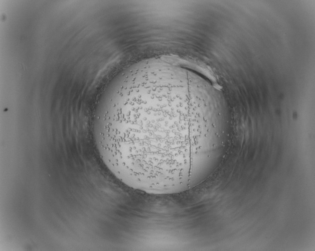 X0000089400716200707061228