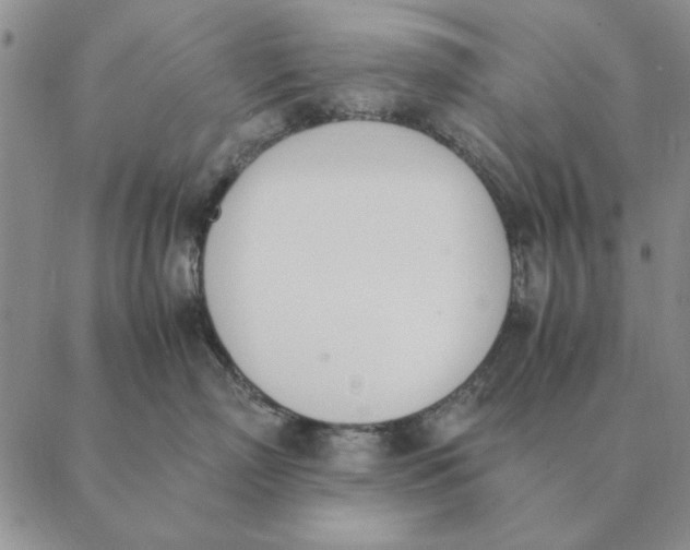 X0000089400718200707061228