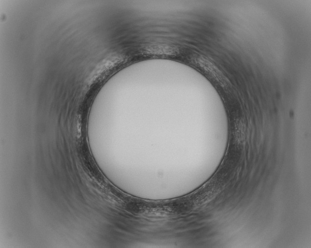 X0000089400731200707061228