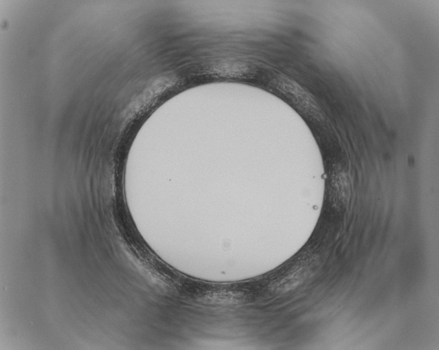 X0000089400734200707061228