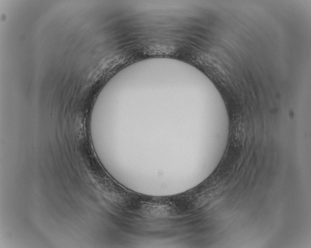 X0000089400743200707061228
