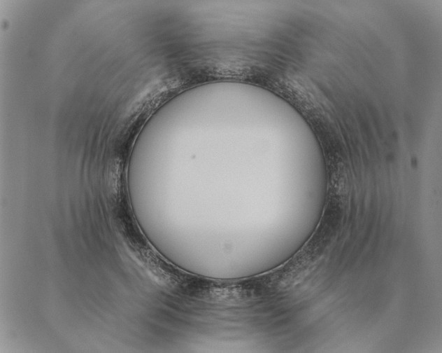 X0000089400744200707061228