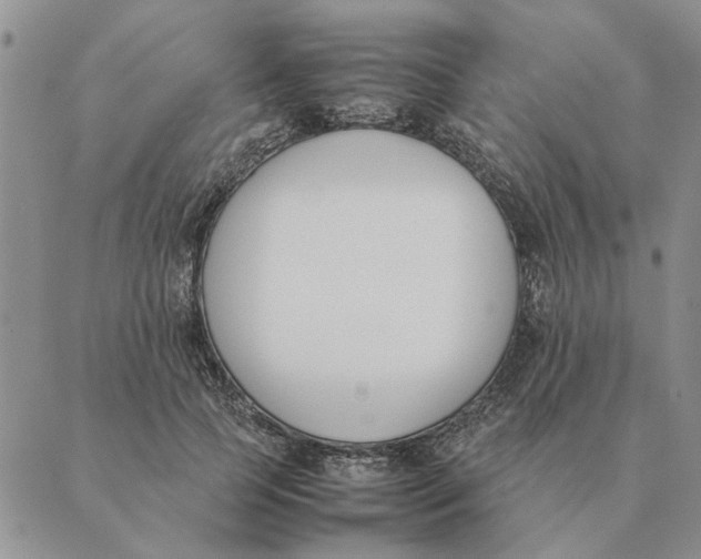 X0000089400745200707061228