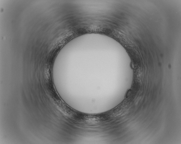 X0000089400746200707061228