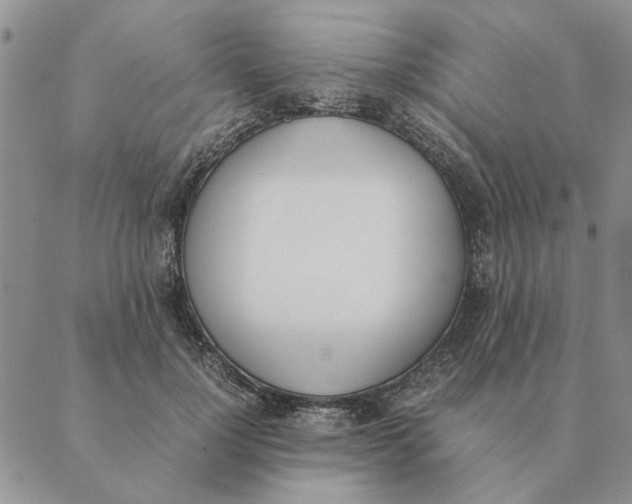 X0000089400748200707061228