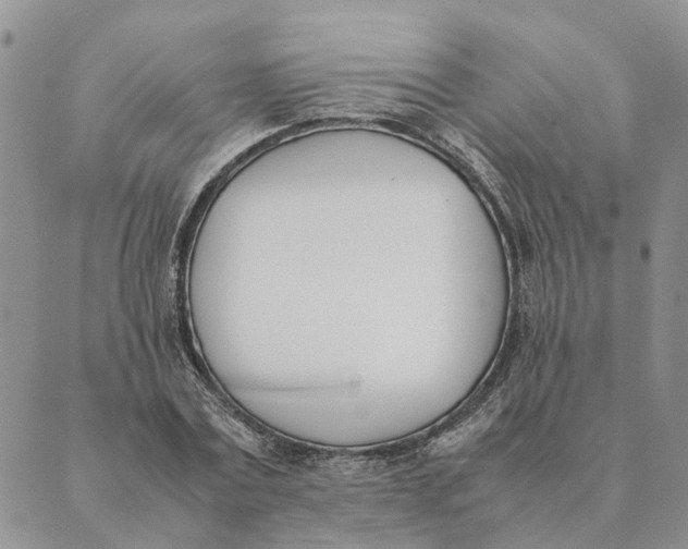 X0000089400779200707061227
