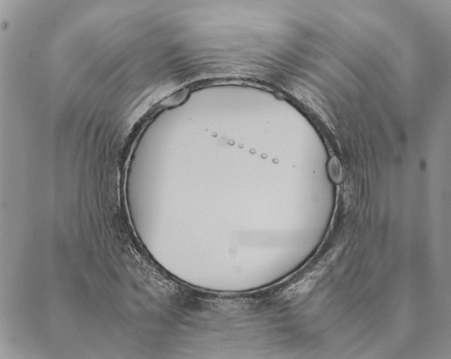 X0000089400781200707061227