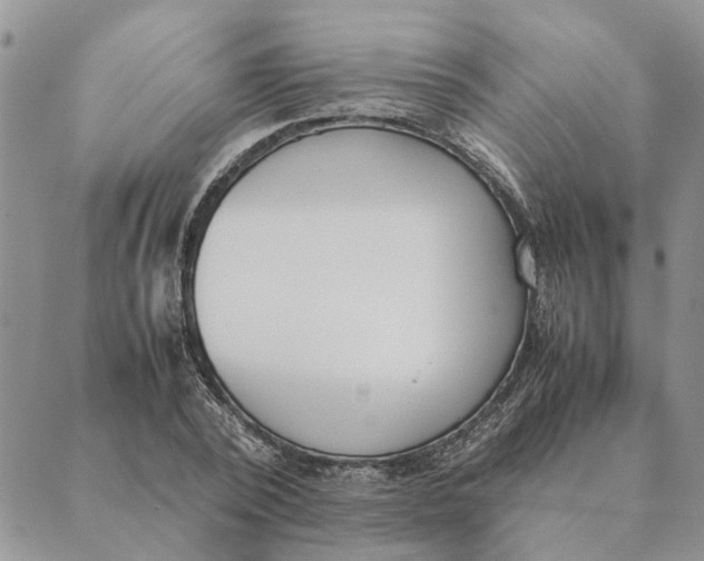 X0000089400784200707061227