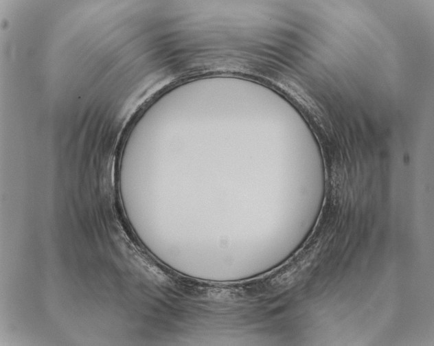 X0000089400790200707061227