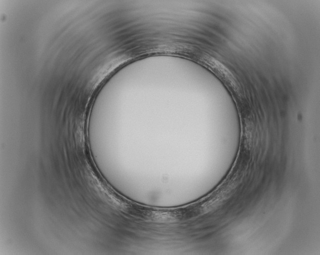 X0000089400794200707061227