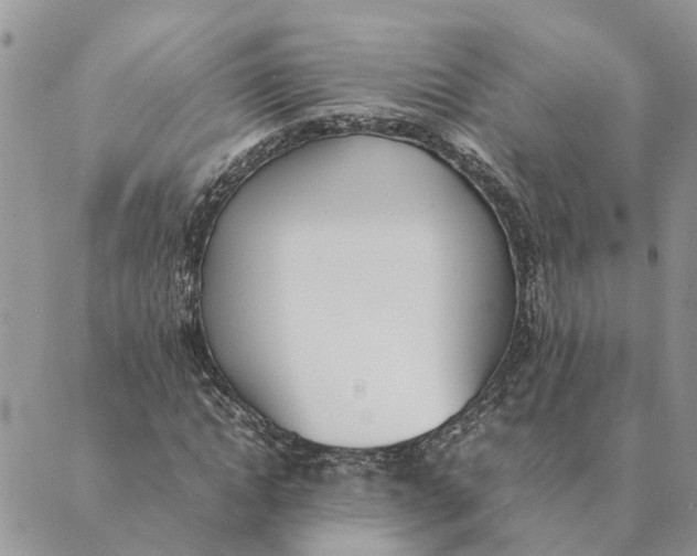 X0000089400822200707061226