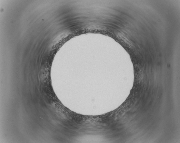 X0000089400824200707061226