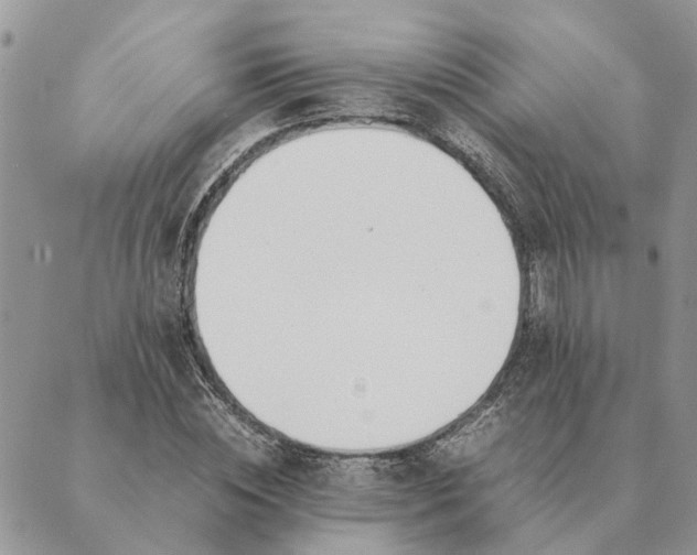 X0000089400828200707061226