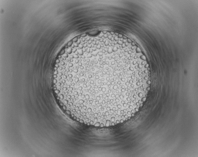 X0000089400851200707061227
