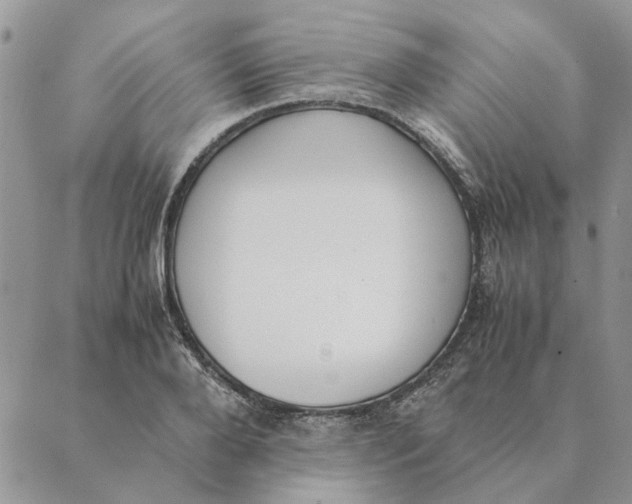 X0000089400888200707061226