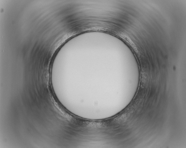 X0000089400890200707061226