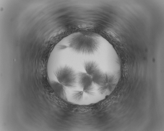 X0000089400917200707061225