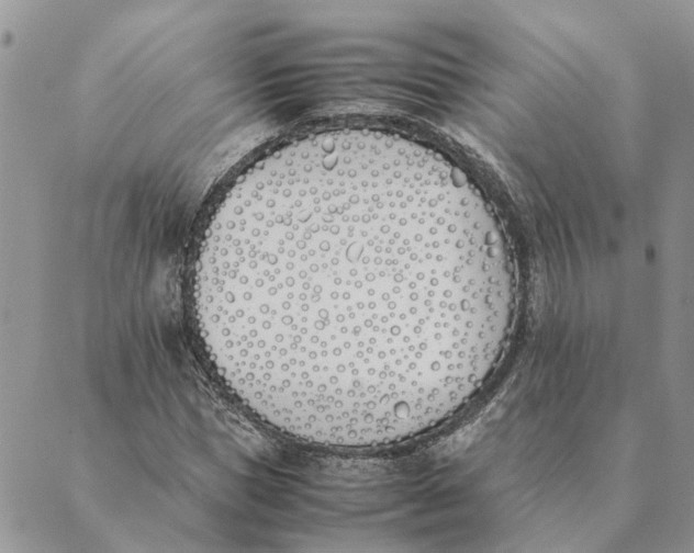 X0000089400921200707061225