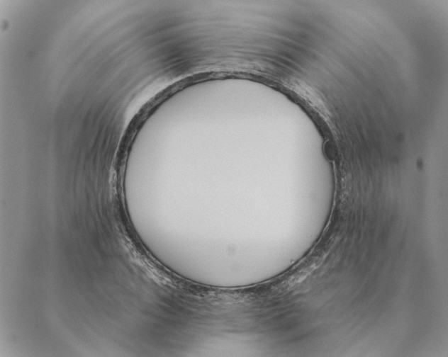 X0000089400928200707061225