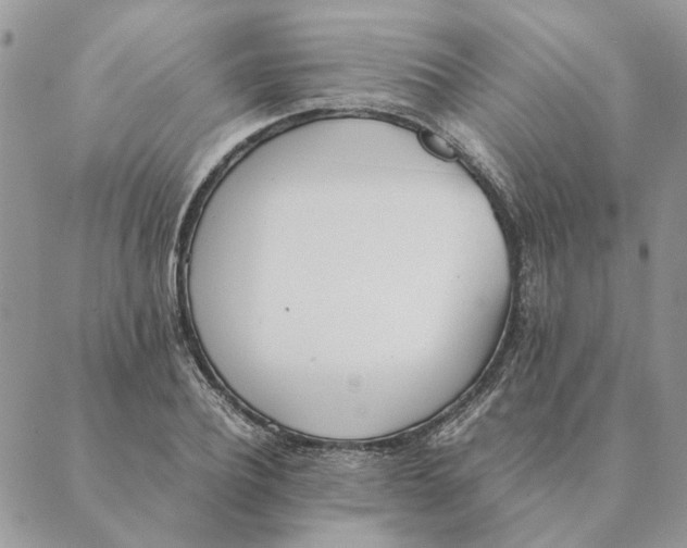X0000089400932200707061225