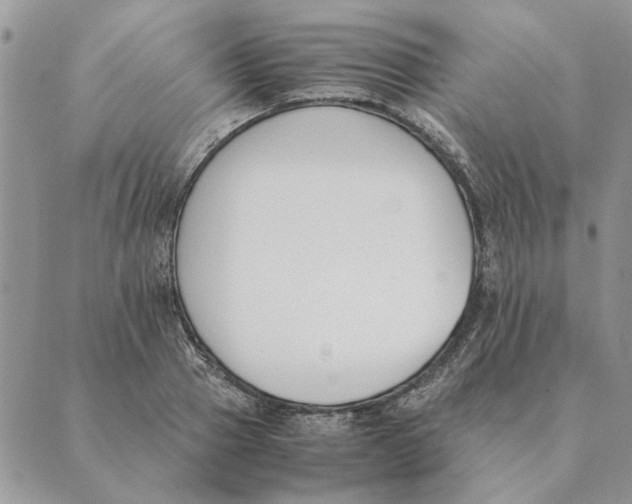 X0000089400937200707061225