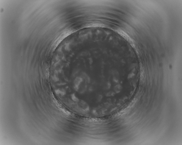 X0000089400945200707061225