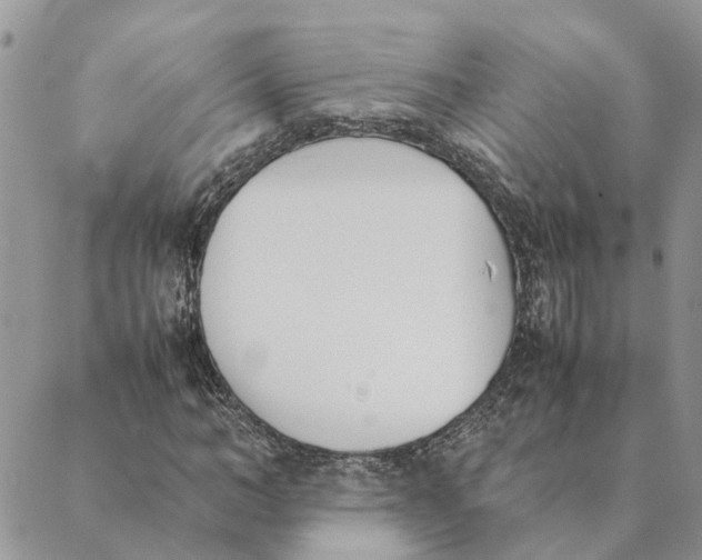 X0000089400966200707061224