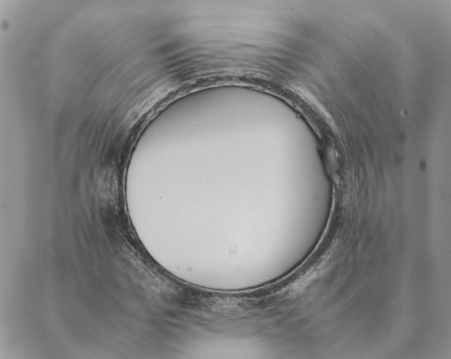 X0000089400969200707061224