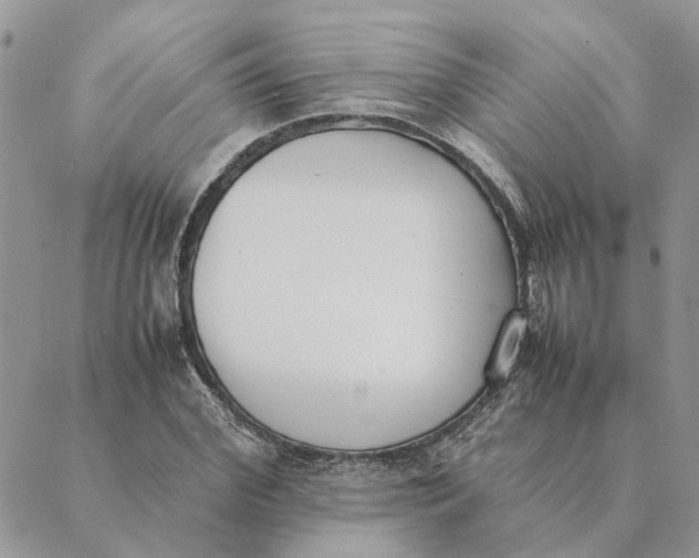 X0000089400972200707061224