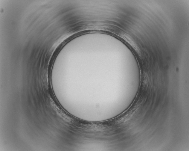 X0000089400980200707061224