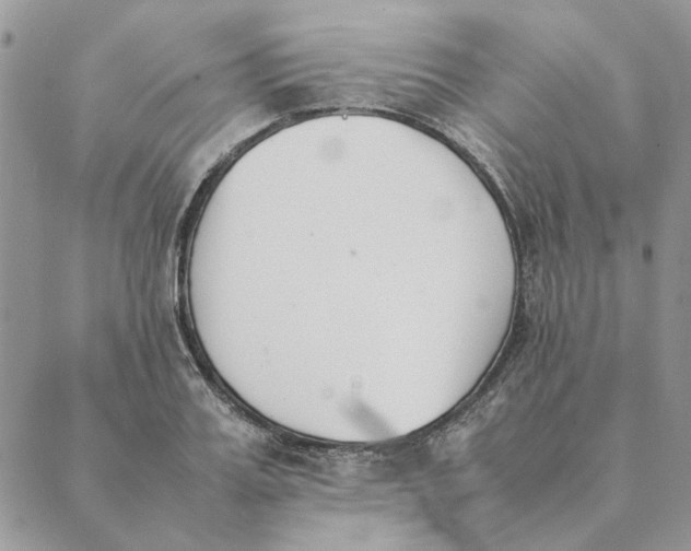 X0000089400987200707061224