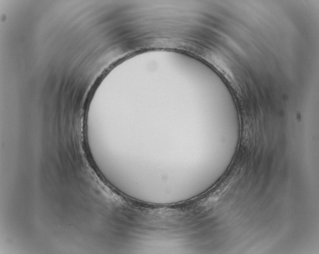 X0000089400992200707061224