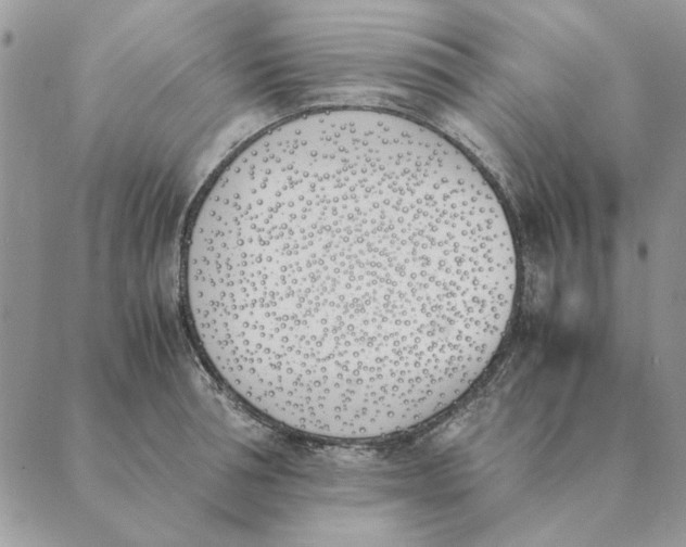X0000089400994200707061224