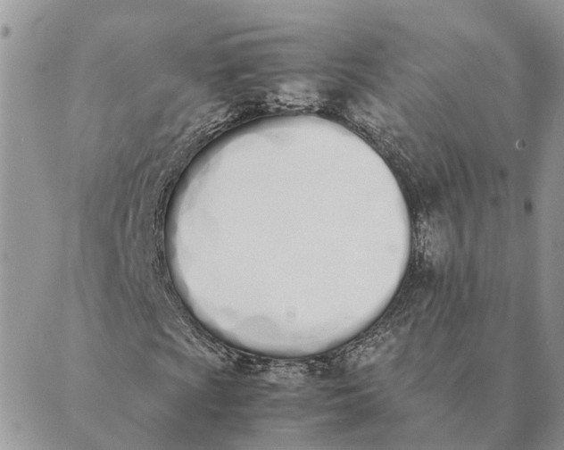 X0000089401009200707061223