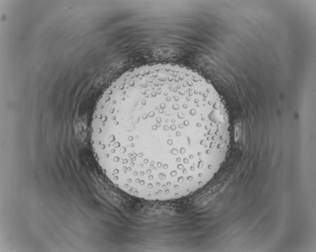 X0000089401011200707061223