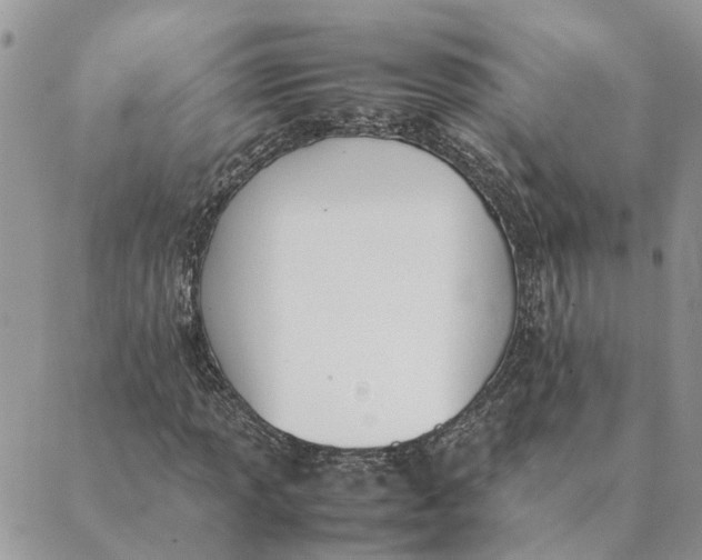 X0000089401013200707061223