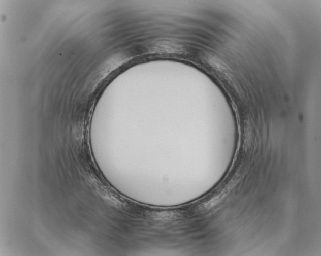 X0000089401017200707061223