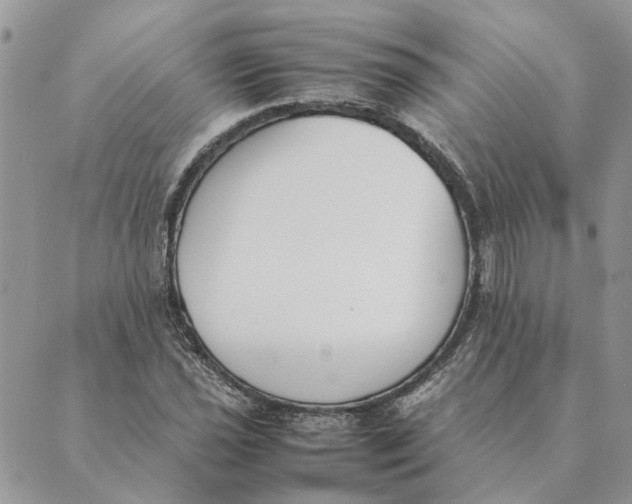 X0000089401021200707061223