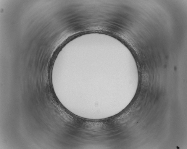 X0000089401023200707061223