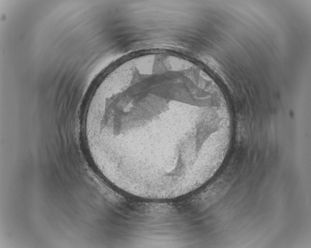 X0000089401024200707061223