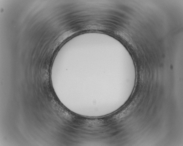 X0000089401025200707061223