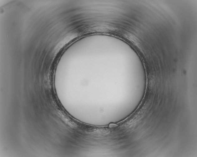 X0000089401026200707061223