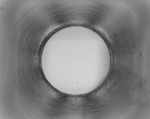 X0000089401027200707061223