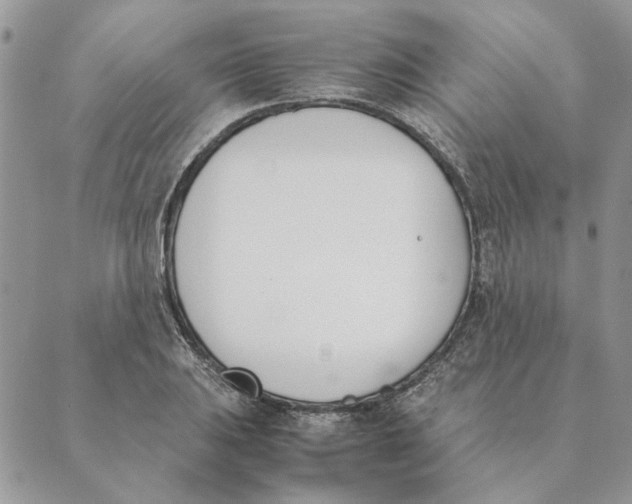 X0000089401031200707061223